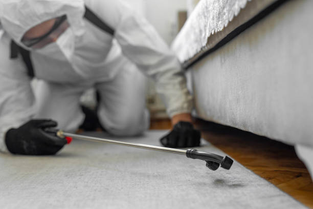 Professional Bed Bug Control technician working in Chestnut Ridge, NY