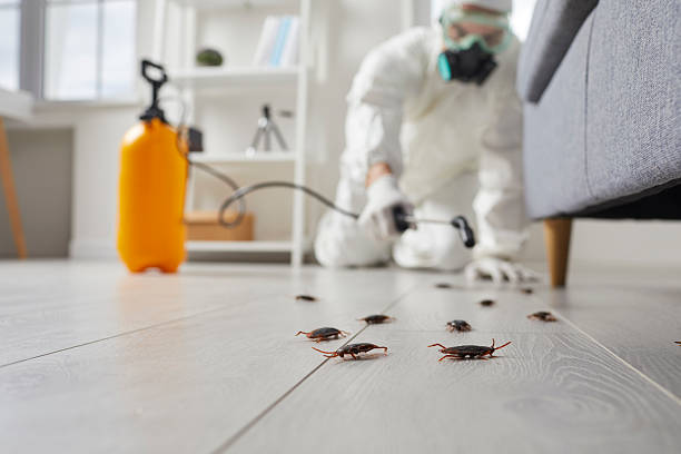 Trusted Emergency Pest Control service in Chestnut Ridge, NY - Nex Pest Control