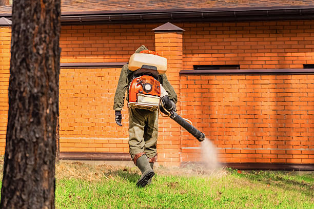 Trusted Bed Bug Control service in Chestnut Ridge, NY - Nex Pest Control